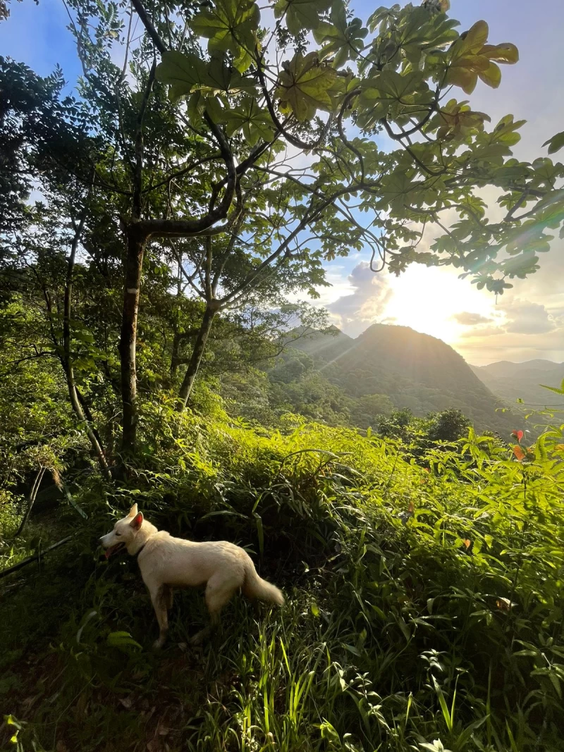 Yoga-Retreat und Entdeckungsreise in die Karibik - 1/5