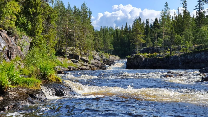 Abwechslungsreiche Aktivwoche in der Natur von Idre