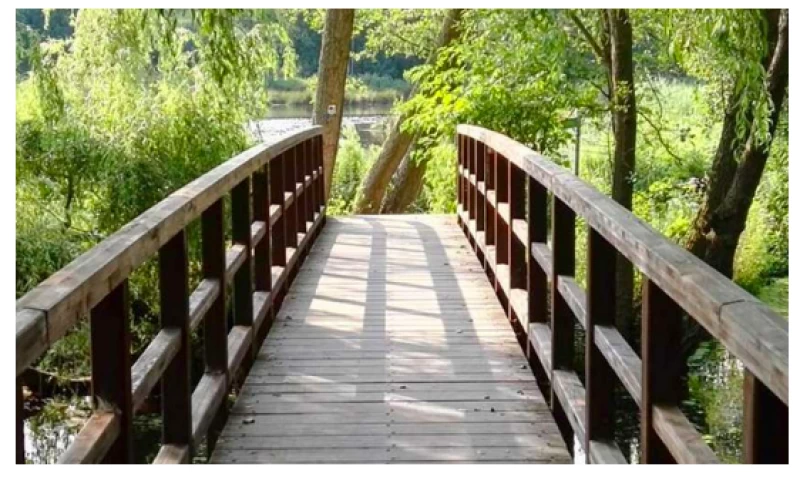 Neujahrsretreat – “Wutkraft befreien”