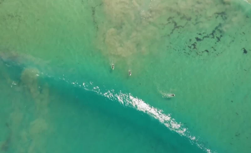 Surf Camp in Gijon: Experience the Real Asturias