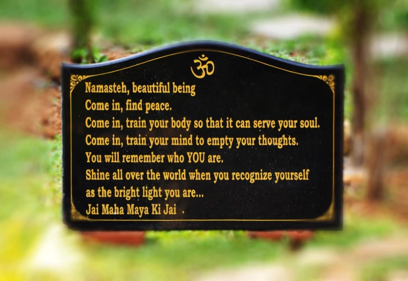 HIAO Yoga- und Meditationsretreat in Indien - 4/5