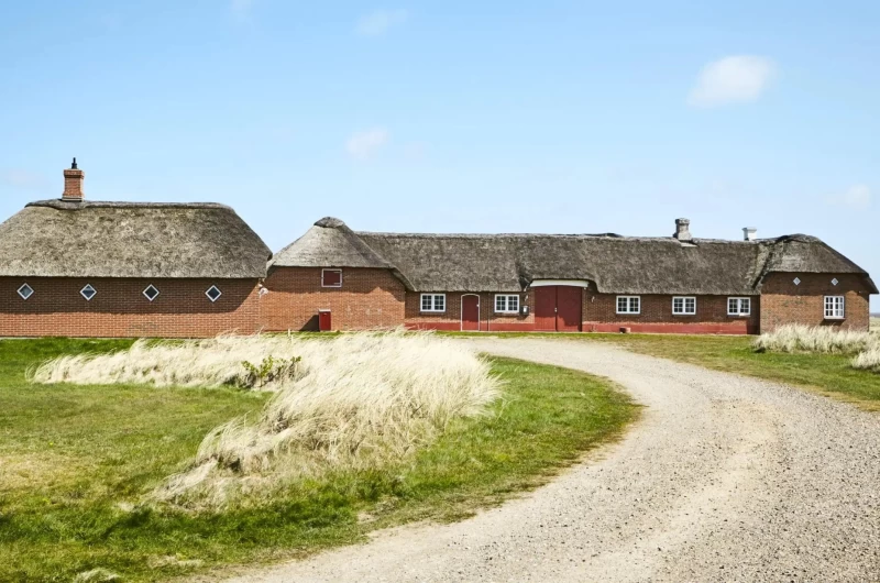 Surfcamp zwischen Fjord und Nordsee: Wassersport pur in Dänemark