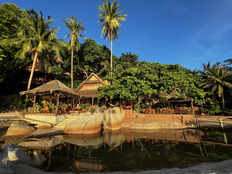 Reshape Your Life: Abnehmen und wohlfühlen mit Yoga und Fitness