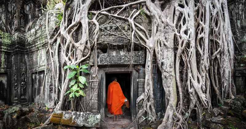 Siem Reap Abenteuer-Tour: Trekking und Camping im Kulen-Gebirge