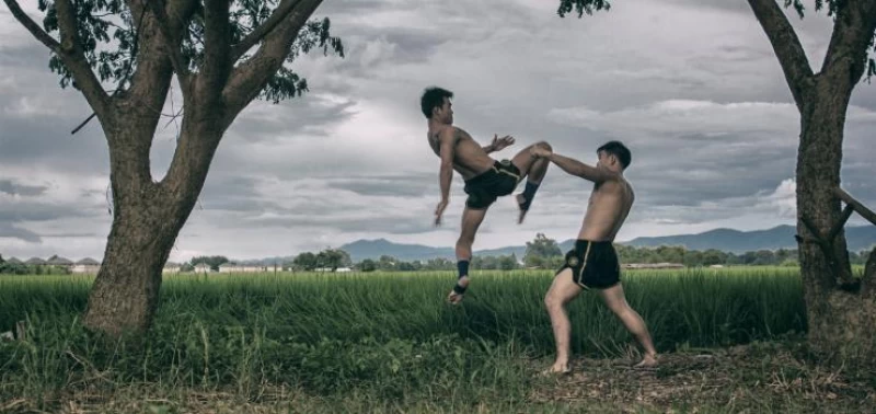 Muay Thai Gym in den Reisfeldern von Chiang Mai