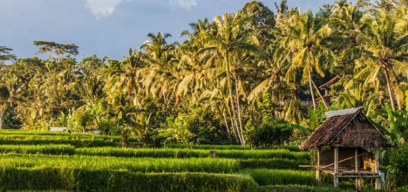 Entfliehe dem Lauf der Zeit auf Bali - 4/5