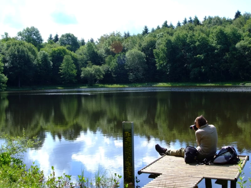 Auf feurigen Wegen - Vulkane verstehen, Wandern und Meditation