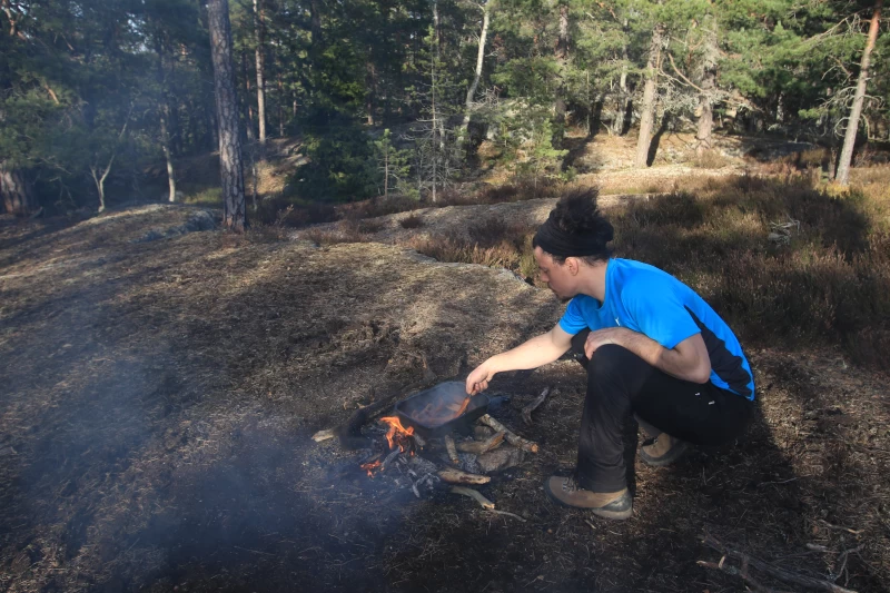 Expedition durch die Wildnis: Erkunde Schwedens Natur