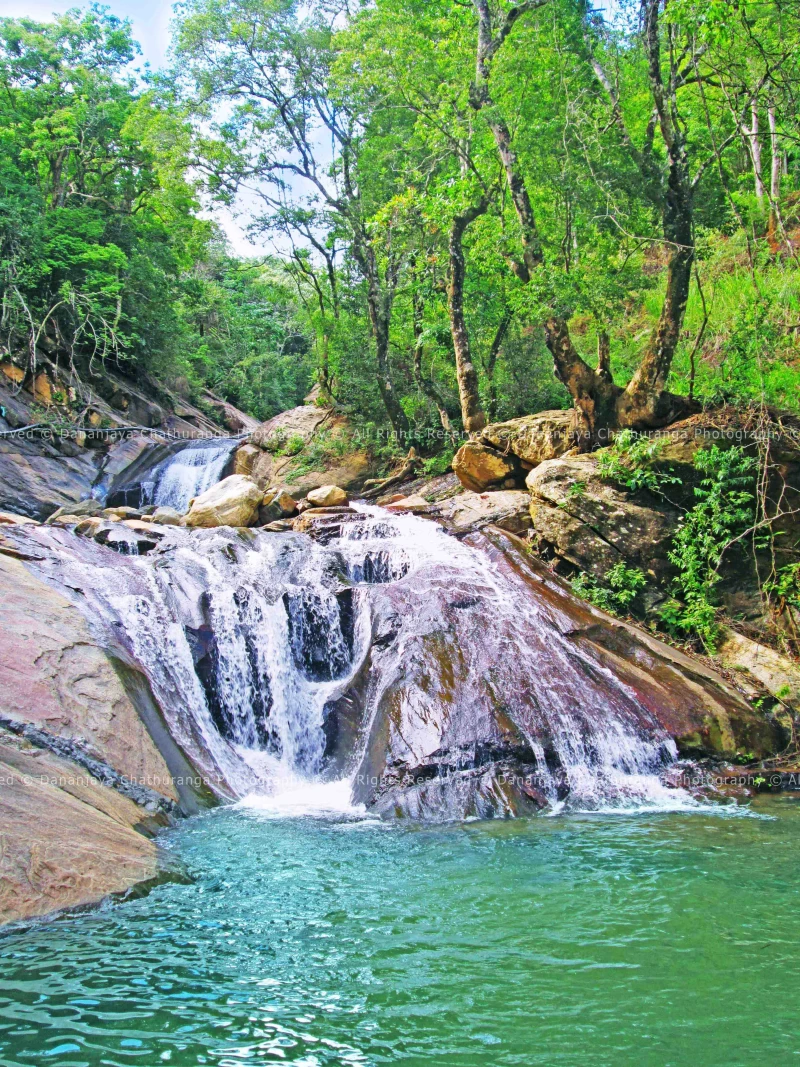 Aktive Sri Lanka Rundreise mit Hotelkomfort