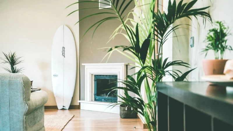 Surf-Guiding rund um Santa Cruz: Leere Line-Ups und perfekte Wellen