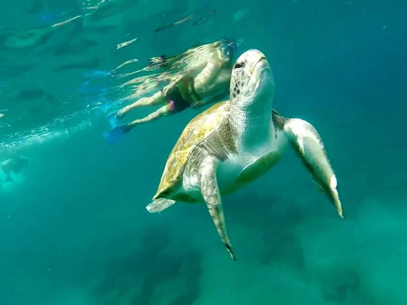 Surfhaus im Süden Teneriffas: Natur, Leidenschaft & Spaß