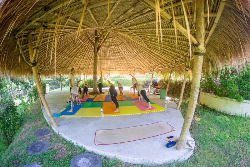 Surfen, Yoga & Kampfsport: Luxus, Tradition & Abwechslung