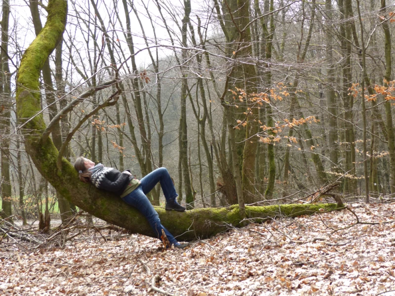 Wanderwoche im Hunsrück am Stausee - 3/5