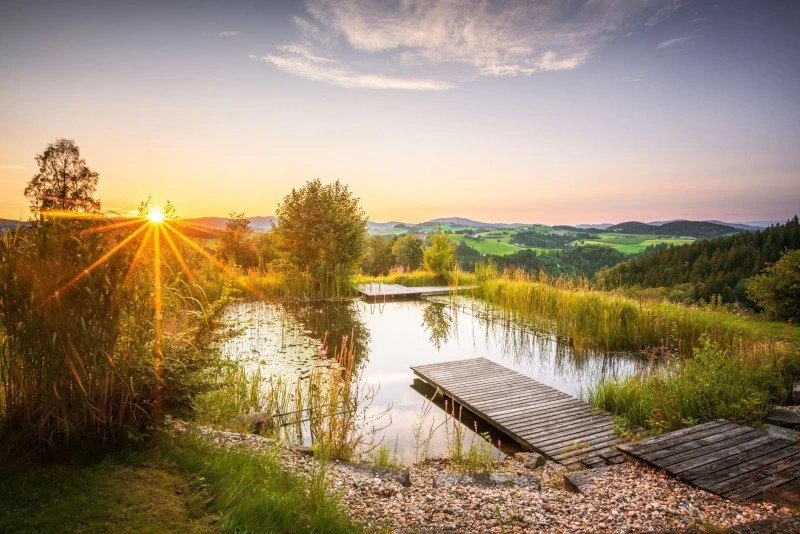 Friedliche Yoga-Auszeit inmitten Österreichs Wiesen & Wäldern