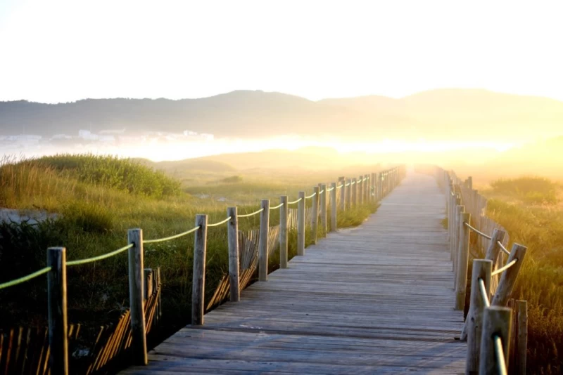 Yoga Retreat am Ozean: Dankbarkeit als Schlüssel zum Glück