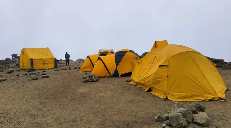 Trekking entlang der Machame Route zum Gipfel des Kilimanjaros