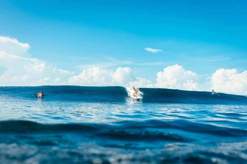 Surfen, Spaß & entspannte Vibes in Canggu - 1/2