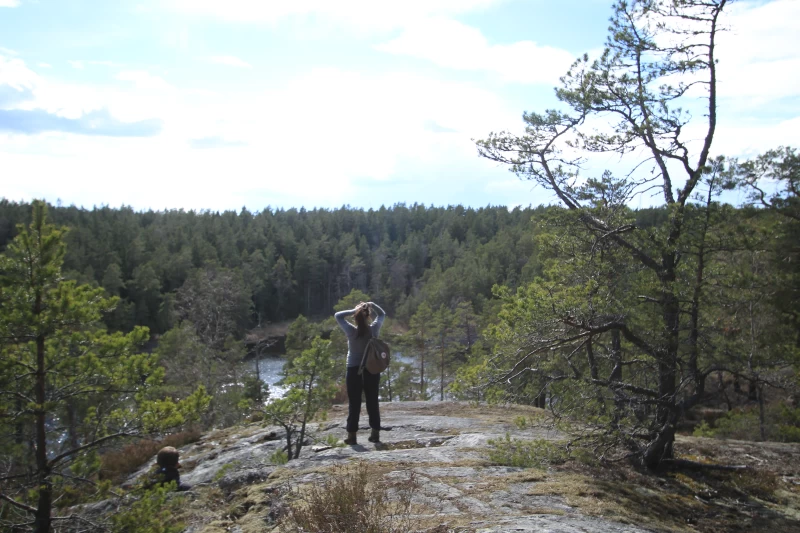 Expedition durch die Wildnis: Erkunde Schwedens Natur