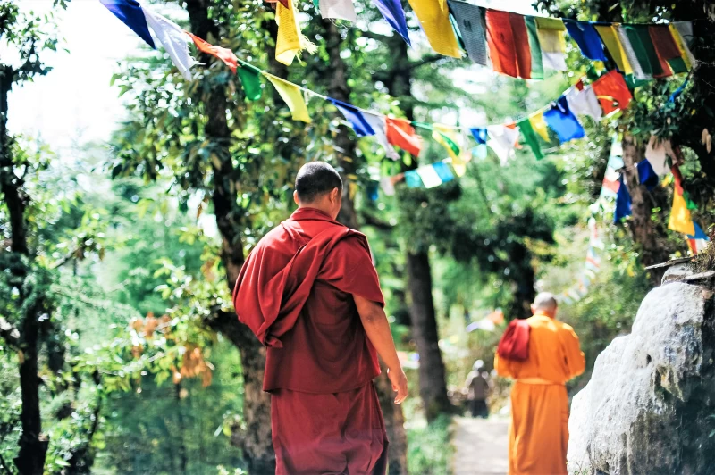 Yoga & Trekking in den Bergdörfern Nepals - 3/5
