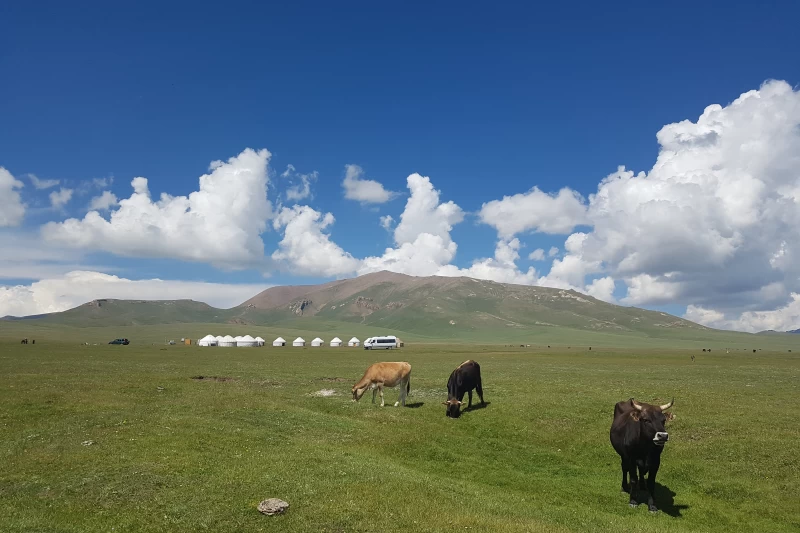 Trekking zum Bergsee Son Kul - 4/5