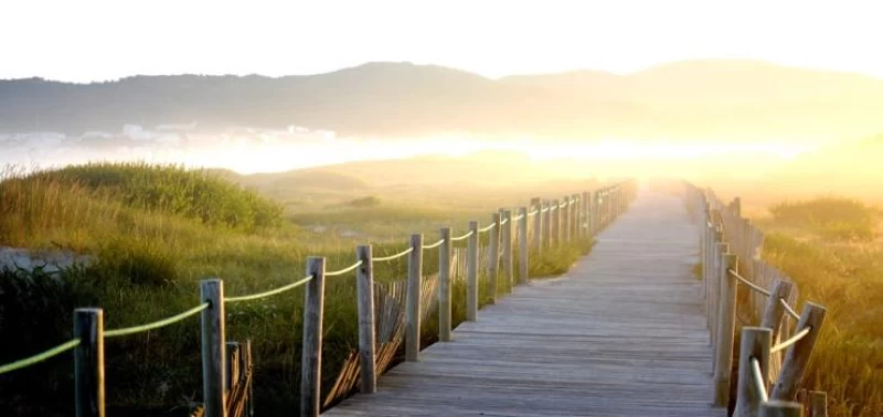 Funky Flow & Yummy Yin Yoga-Retreat