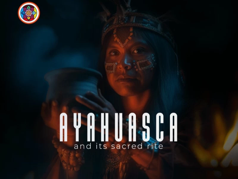 8 Tage Yoga, Meditation und Ayahuasca Zeremonie bei Salvador da Bahia - 1/5