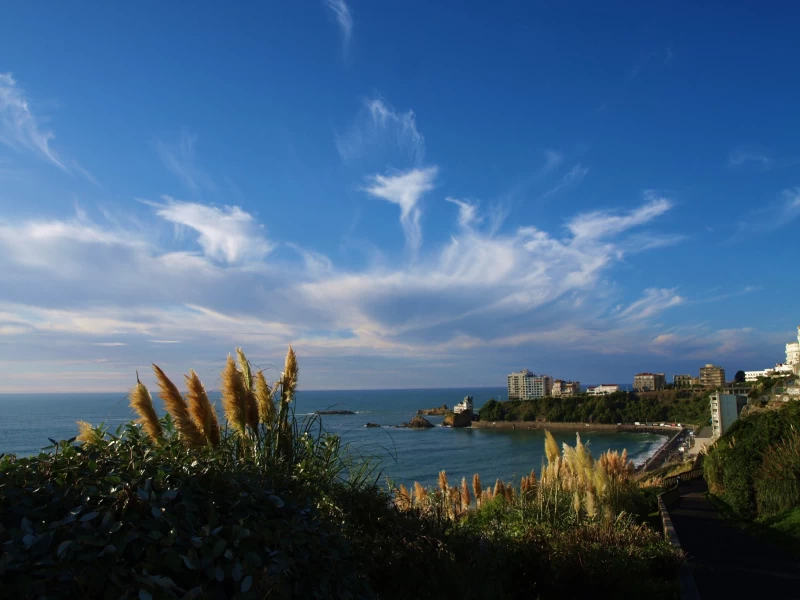 Surf vacation in private apartments in the heart of Biarritz