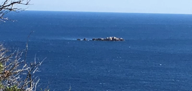 Umfassendes Yoga Retreat auf der grünen Insel Mijet