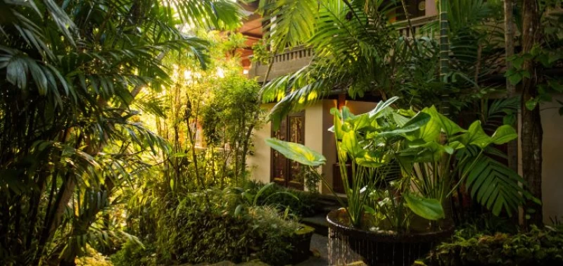 Yoga & Wandern: Zu Fuß durch Bali