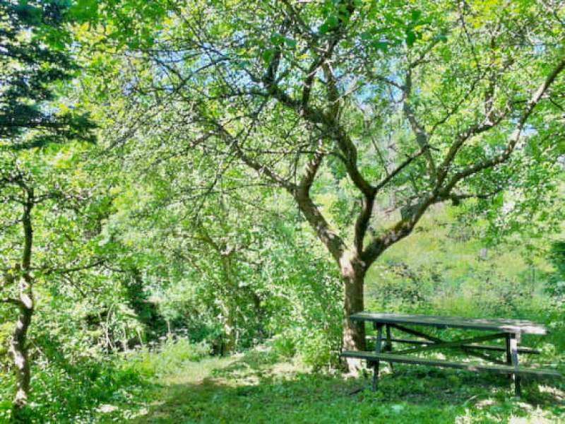 Deine Mama-Auszeit in der Natur mit Yoga, Beratung und Entspannung