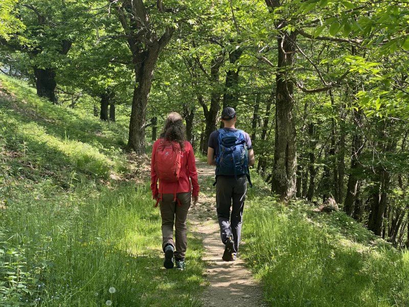 Malerische Yogawochen im Herzen des Malcantone