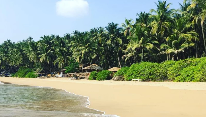 Paradiesisches Yoga Retreat unter den Kokospalmen Goas