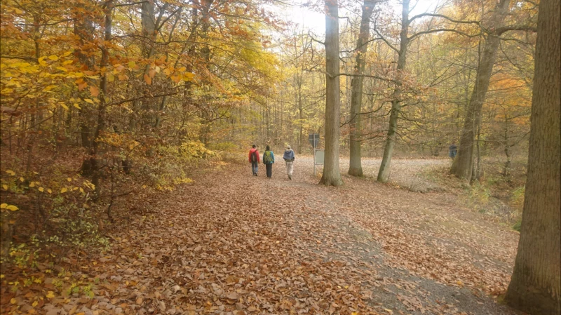 Yoga Retreat im Naturpark: Seelenkräfte für ein selbstbestimmtes Leben