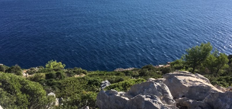 Umfassendes Yoga Retreat auf der grünen Insel Mijet