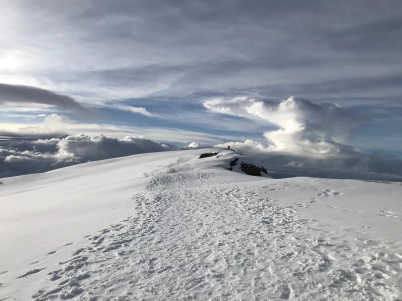 Trekking entlang der Machame Route zum Gipfel des Kilimanjaros